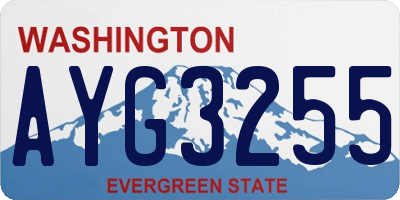 WA license plate AYG3255