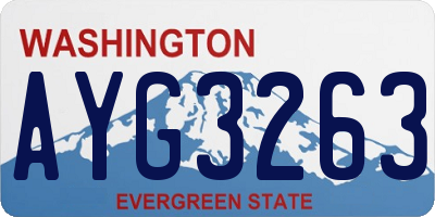 WA license plate AYG3263
