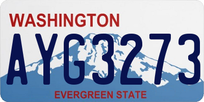 WA license plate AYG3273