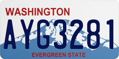 WA license plate AYG3281