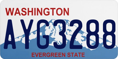 WA license plate AYG3288