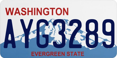 WA license plate AYG3289