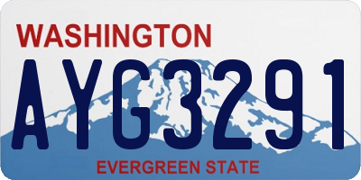 WA license plate AYG3291