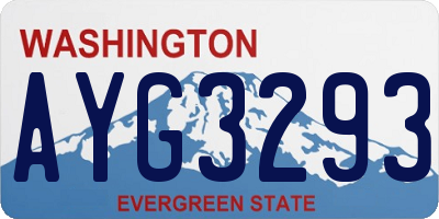 WA license plate AYG3293