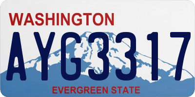 WA license plate AYG3317