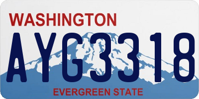 WA license plate AYG3318