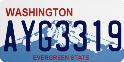 WA license plate AYG3319