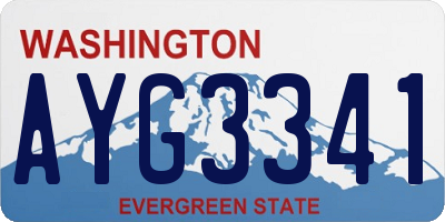 WA license plate AYG3341