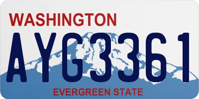 WA license plate AYG3361