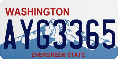 WA license plate AYG3365