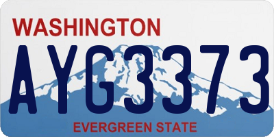 WA license plate AYG3373
