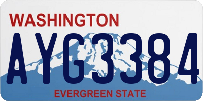 WA license plate AYG3384