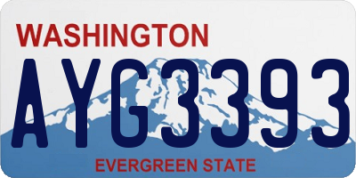 WA license plate AYG3393