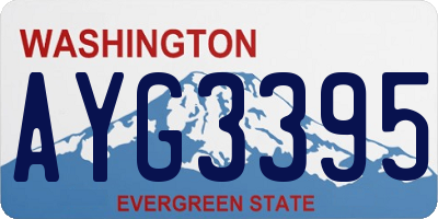 WA license plate AYG3395
