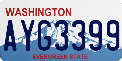 WA license plate AYG3399