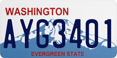 WA license plate AYG3401