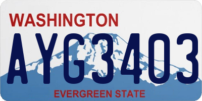WA license plate AYG3403