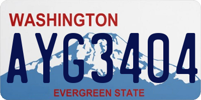 WA license plate AYG3404