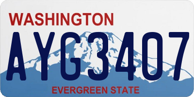 WA license plate AYG3407
