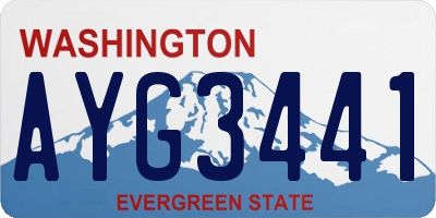 WA license plate AYG3441