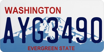 WA license plate AYG3490