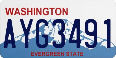 WA license plate AYG3491