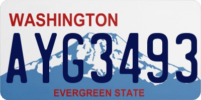WA license plate AYG3493