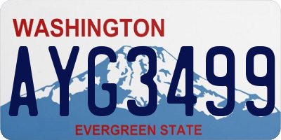WA license plate AYG3499