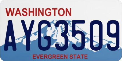 WA license plate AYG3509
