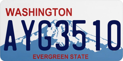 WA license plate AYG3510