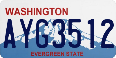 WA license plate AYG3512