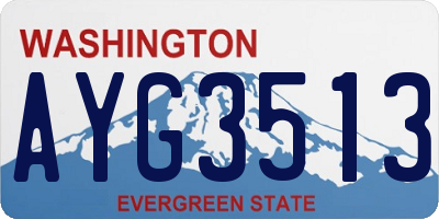 WA license plate AYG3513