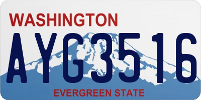 WA license plate AYG3516