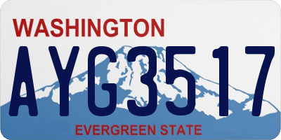 WA license plate AYG3517