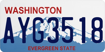 WA license plate AYG3518