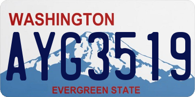 WA license plate AYG3519