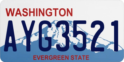 WA license plate AYG3521