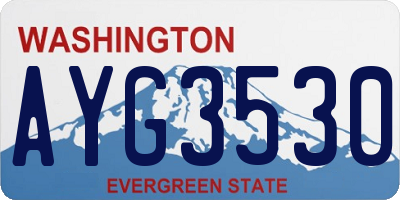 WA license plate AYG3530