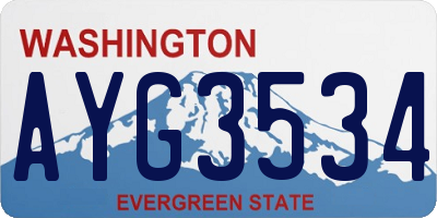 WA license plate AYG3534