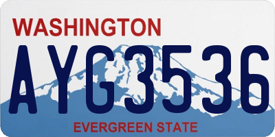 WA license plate AYG3536