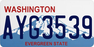WA license plate AYG3539