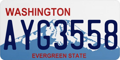 WA license plate AYG3558