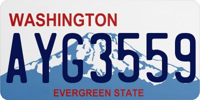 WA license plate AYG3559