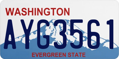 WA license plate AYG3561