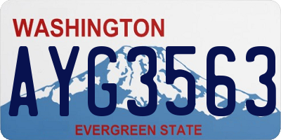 WA license plate AYG3563