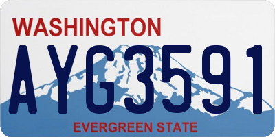 WA license plate AYG3591