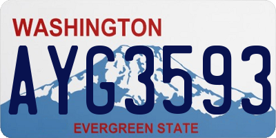 WA license plate AYG3593