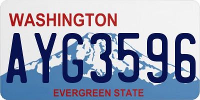 WA license plate AYG3596
