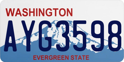 WA license plate AYG3598