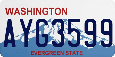 WA license plate AYG3599